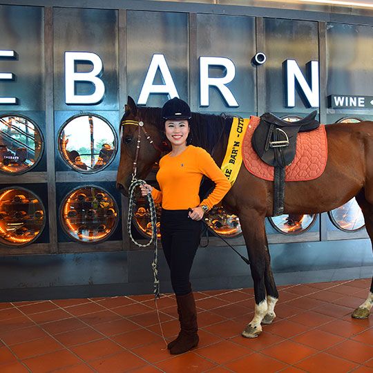 Launch of The BAR°N @ Citta Mall: A Horse Walks Into A Bar